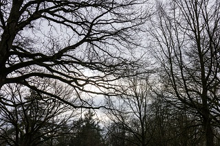 01 Laan Van Voorburg Vught